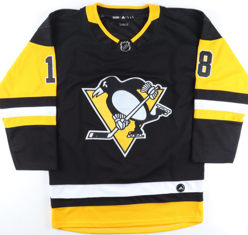 Alex Galchenyuk Signed Pittsburgh Penguins Jersey